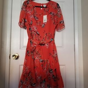 Target Chiffon "A New Day" dress